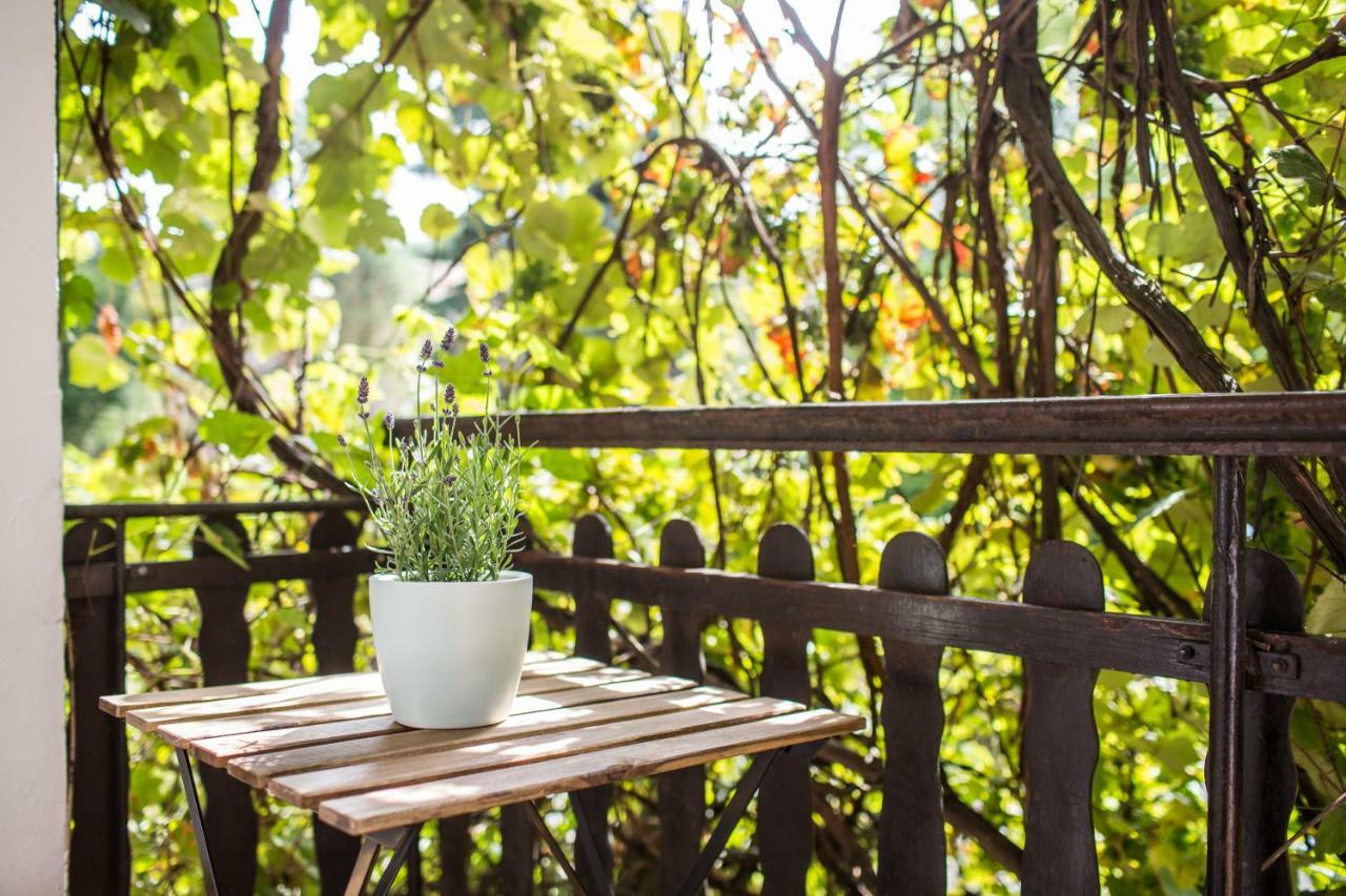 Apartament Pod Winogronami 克拉科夫 外观 照片